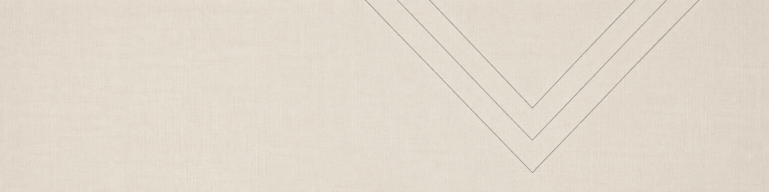 Abstract Chevron abstract LinkedIn banner for a professional profile