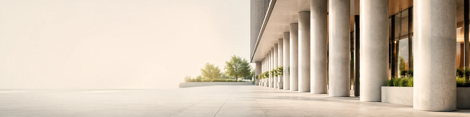 Corporate Plaza Column Line urban city LinkedIn banner for a professional profile