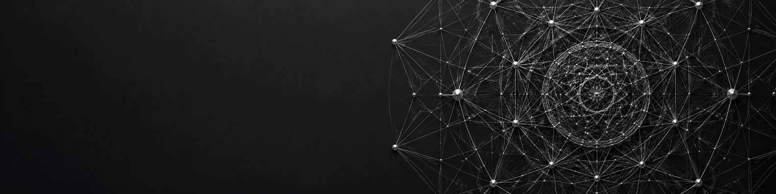 Cryptographic Web code and data LinkedIn banner for a professional technical profile