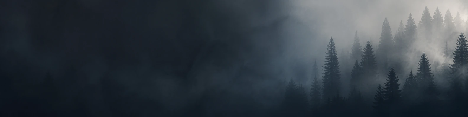 Deep Forest Dawn nature-inspired LinkedIn banner for a professional profile