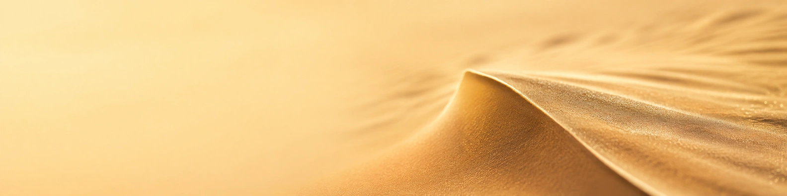 Desert Gold Ripple Crest nature-inspired LinkedIn banner for a professional profile