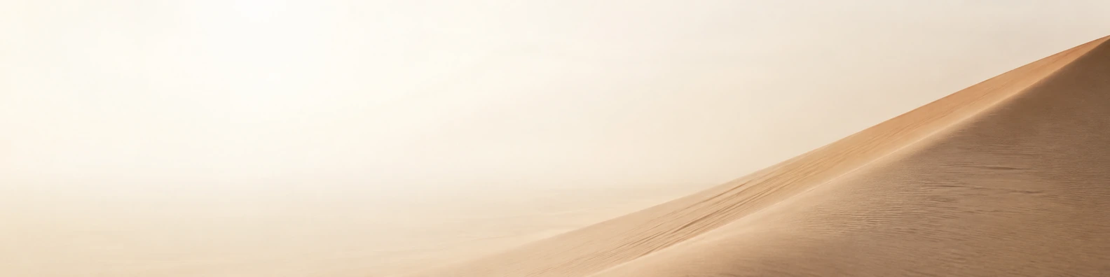 Desert Solitude Slope nature-inspired LinkedIn banner for a professional profile