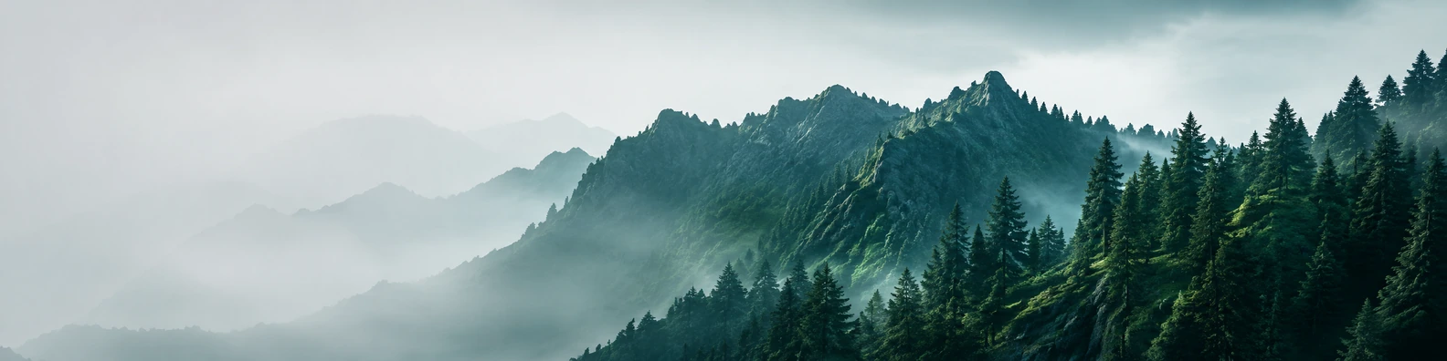 Emerald Ridge Silhouette nature-inspired LinkedIn banner for a professional profile