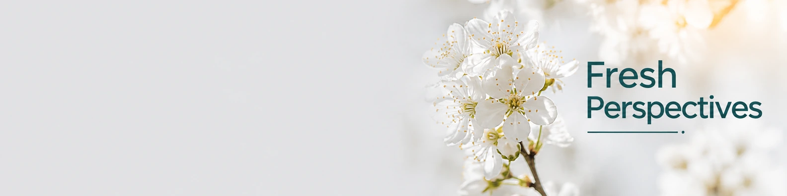 Fresh Perspectives quote LinkedIn banner for a professional profile