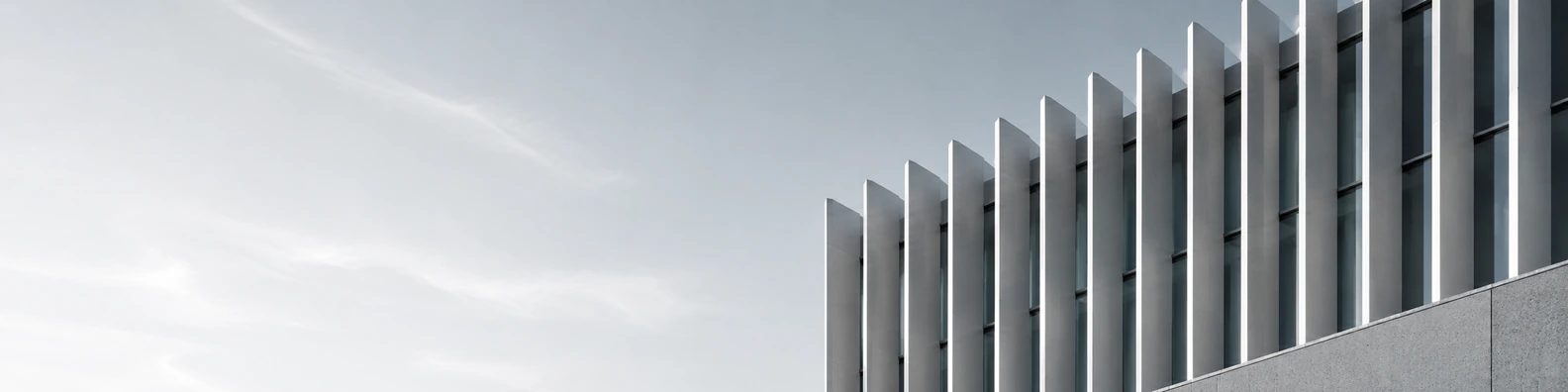 Geometric Facade Fin urban city LinkedIn banner for a professional profile