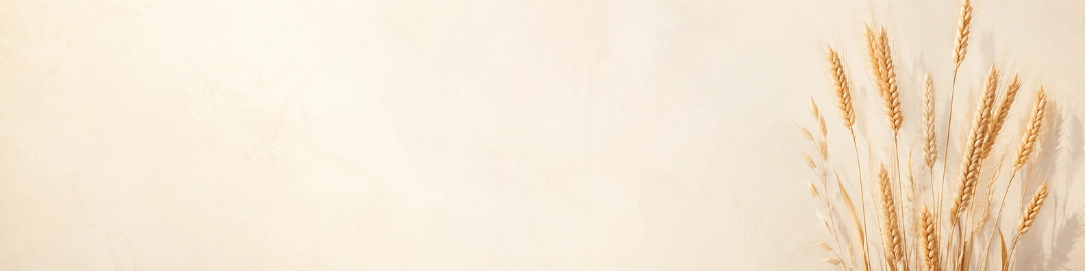 Golden Wheat Stalks nature-inspired LinkedIn banner for a professional profile