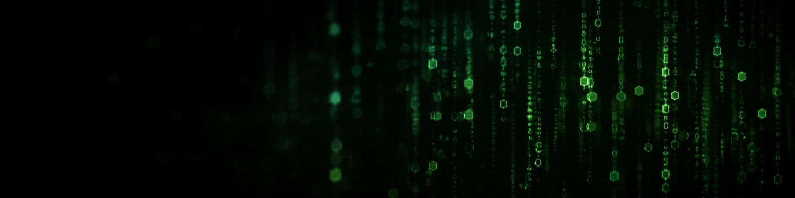 Hexadecimal Rain code and data LinkedIn banner for a professional technical profile