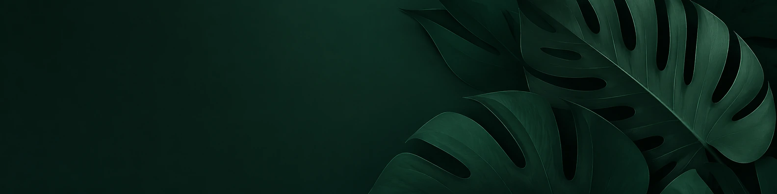 Jungle Jade Silhouette nature-inspired LinkedIn banner for a professional profile