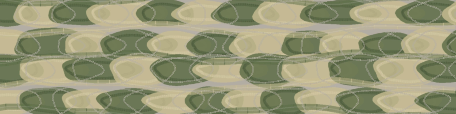 Lichen Path abstract LinkedIn banner for a professional profile