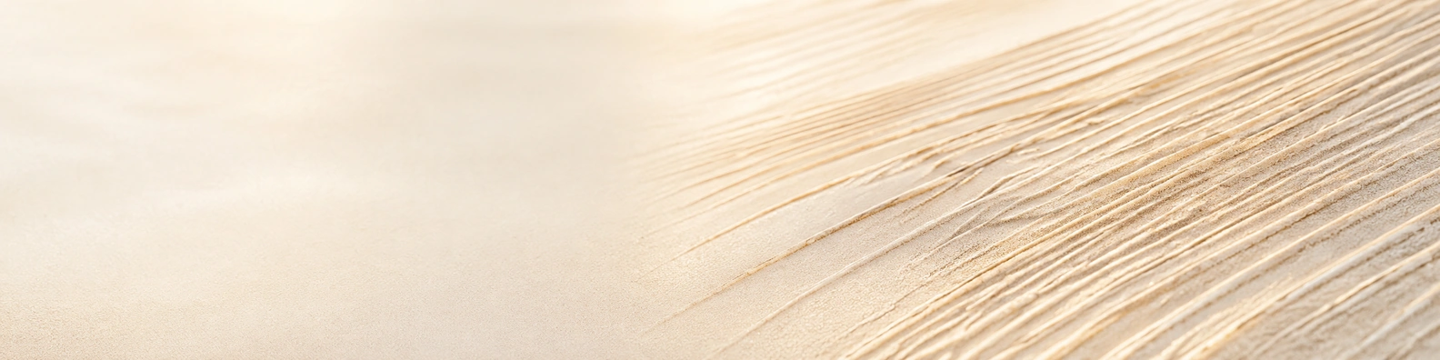 Linear Desert Wind-Etch nature-inspired LinkedIn banner for a professional profile