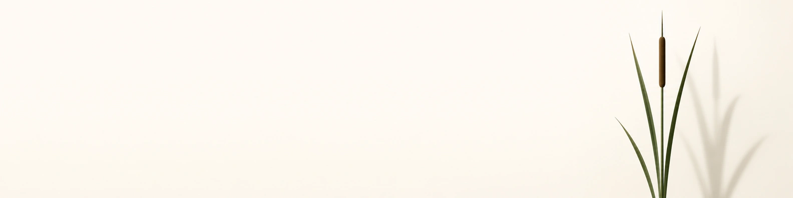 Linear River Reed nature-inspired LinkedIn banner for a professional profile