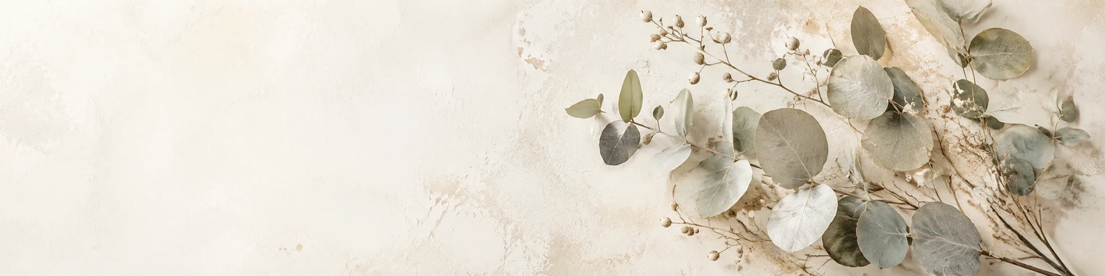 Matte Cream Eucalyptus Spray nature-inspired LinkedIn banner for a professional profile