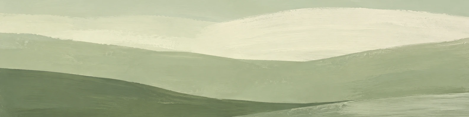 Matte Sage Sweep creative LinkedIn banner for a professional profile