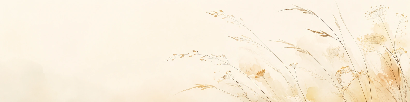 Meadow Silhouette Breeze nature-inspired LinkedIn banner for a professional profile