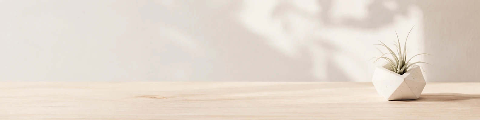 Minimalist Airplant Holder workspace LinkedIn banner for custom text and digital professional profiles