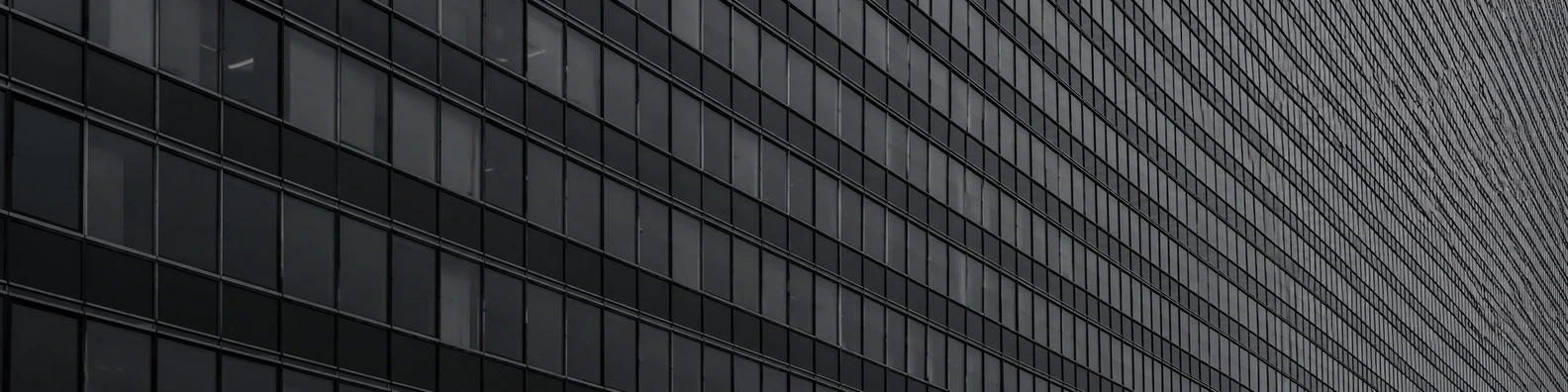 Monochromatic Scale business LinkedIn banner for a professional profile