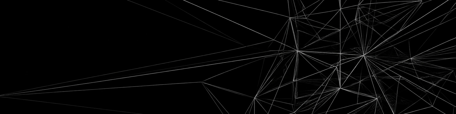Monochrome Wireframe abstract LinkedIn banner for a professional profile