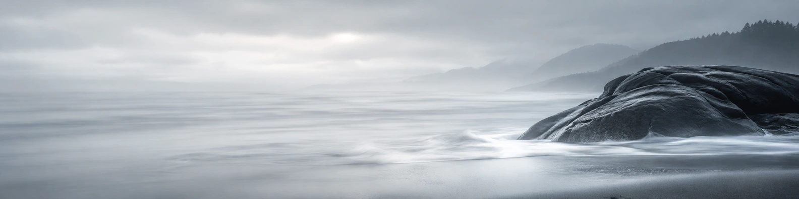 Pacific Coastal Mist nature-inspired LinkedIn banner for a professional profile