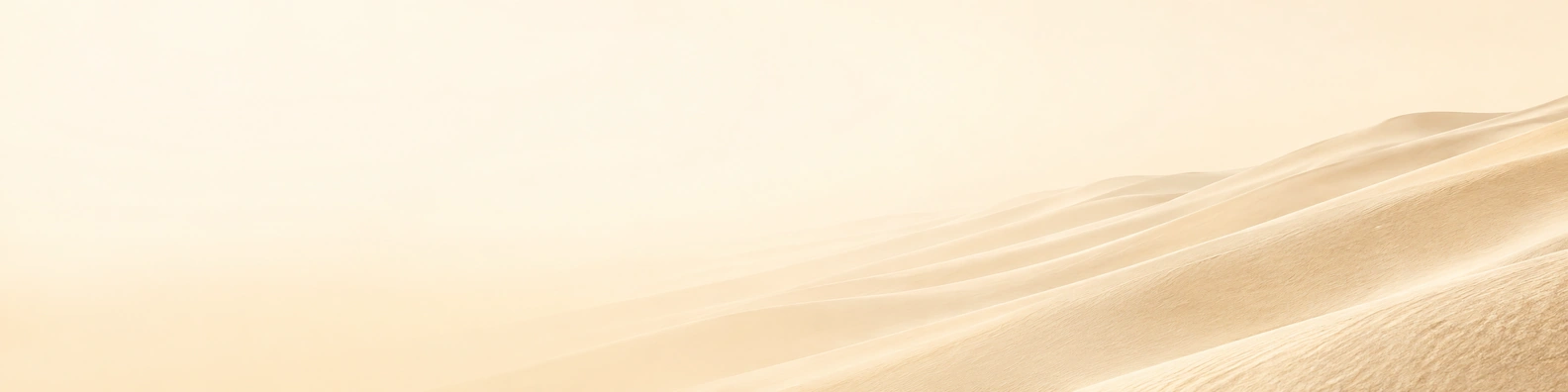Pale Sand Ridge Alignment nature-inspired LinkedIn banner for a professional profile