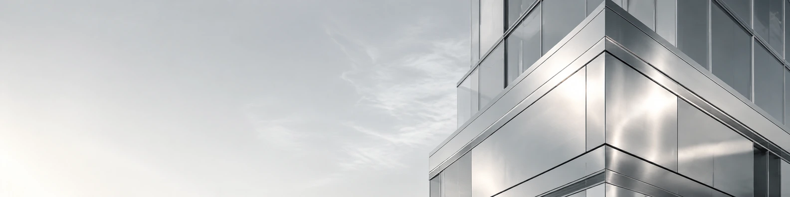 Platinum High-Rise Corner urban city LinkedIn banner for a professional profile