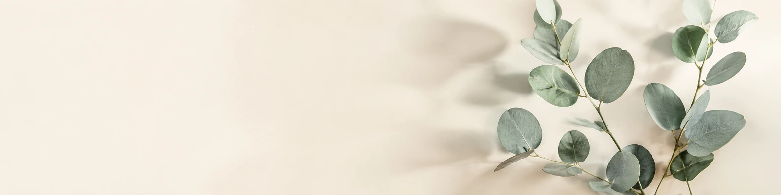 Sage Green Alternation nature-inspired LinkedIn banner for a professional profile