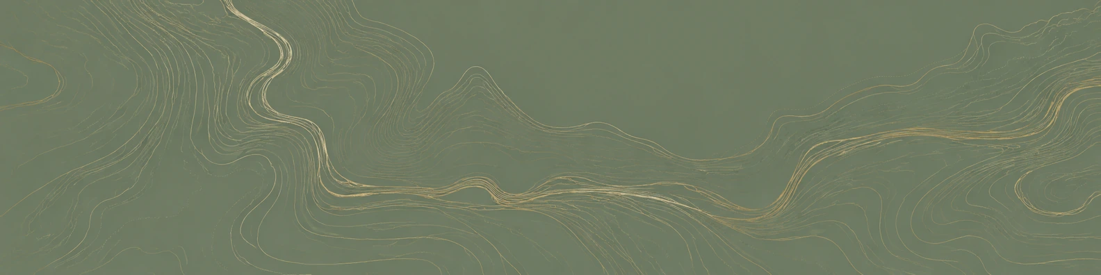 Sage Topology abstract LinkedIn banner for a professional profile