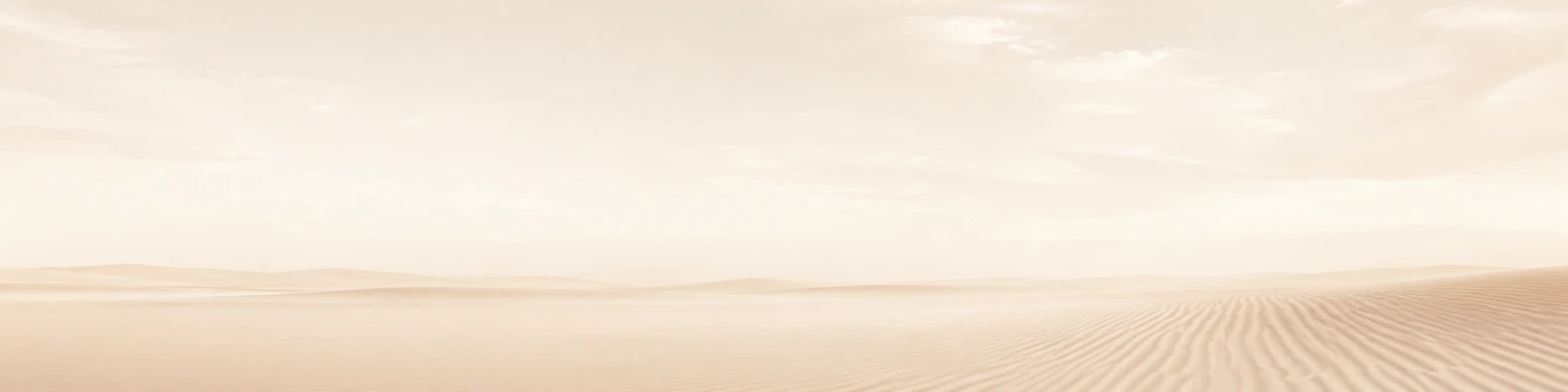 Sahara Linen Ripple nature-inspired LinkedIn banner for a professional profile