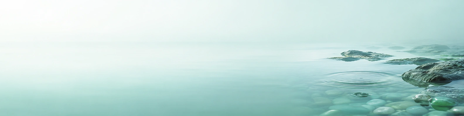 Sea Glass Tide Pool nature-inspired LinkedIn banner for a professional profile