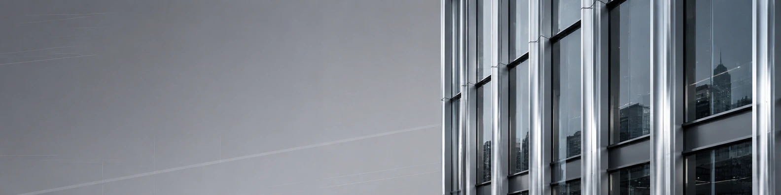 Silver Anodized Mullions urban city LinkedIn banner for a professional profile