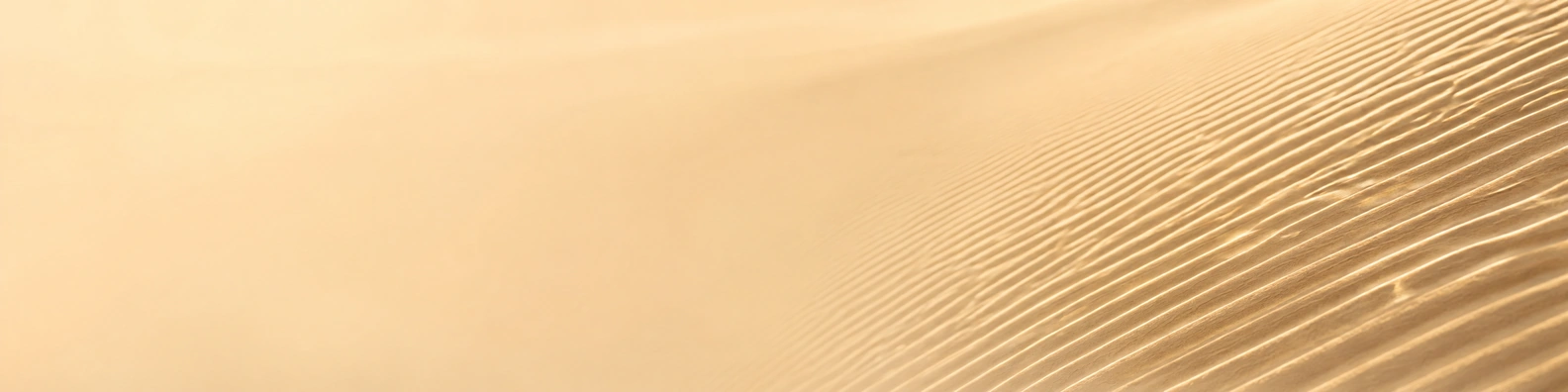 Skim-Lit Dune Waves nature-inspired LinkedIn banner for a professional profile