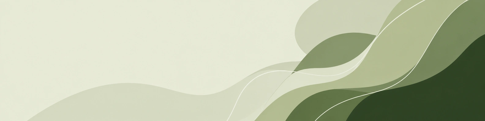 Style C Botanical Contour creative LinkedIn banner for a professional profile