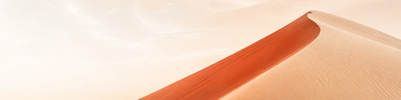 Terracotta Crest Curve nature-inspired LinkedIn banner for a professional profile