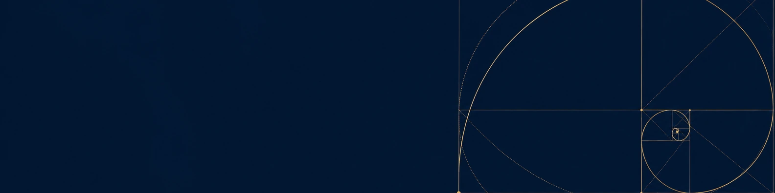 The Golden Ratio Grid abstract LinkedIn banner for a professional profile