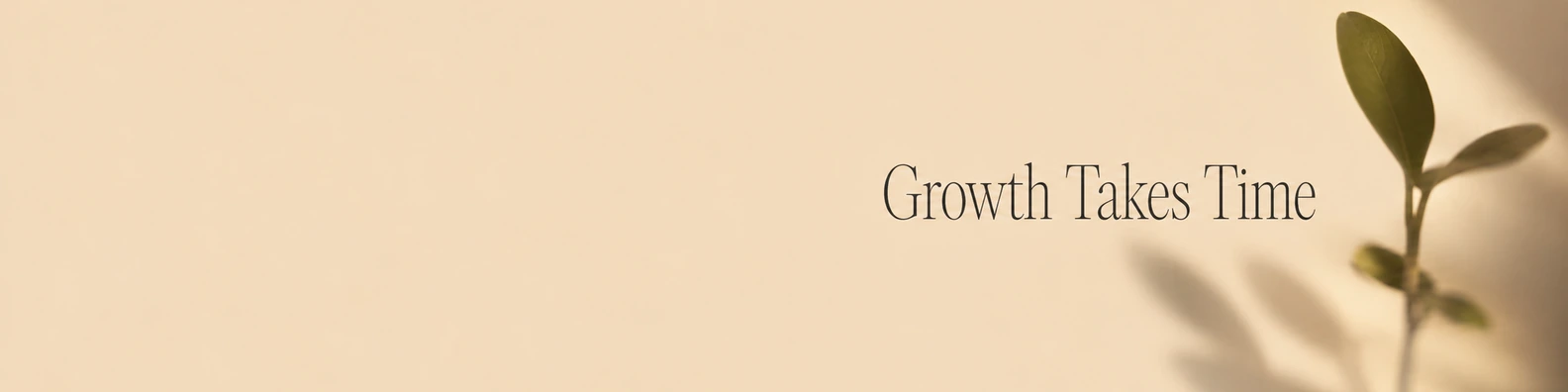 The Resilient Growth Takes Time quote LinkedIn banner for a professional profile