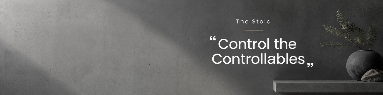 Calm slate gray LinkedIn background banner with the quote Control the Controllables.
