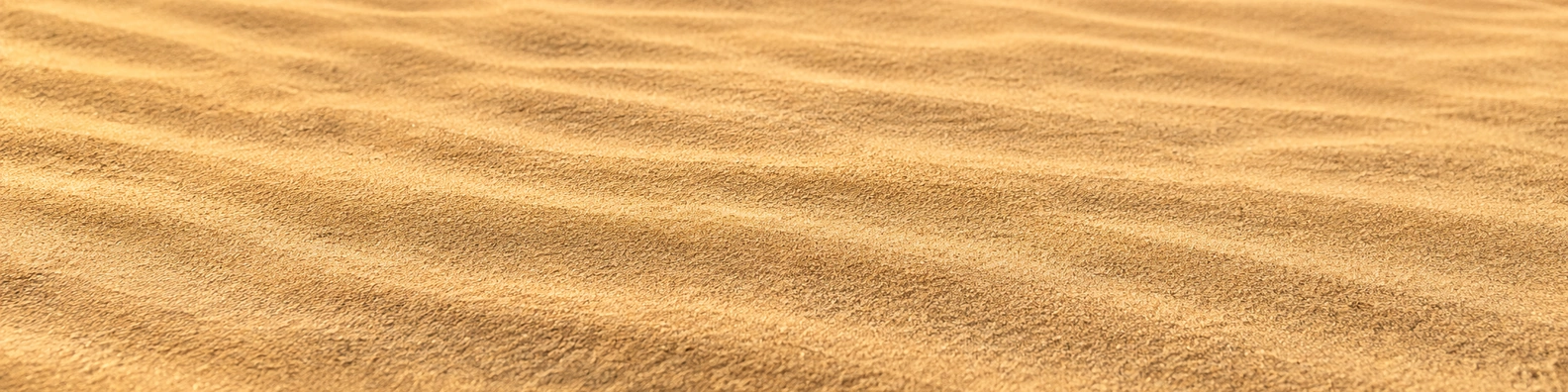 Windblown Desert Sand abstract LinkedIn banner for a professional profile